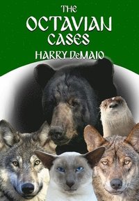 bokomslag Octavian Cases (Octavius Bear 17)