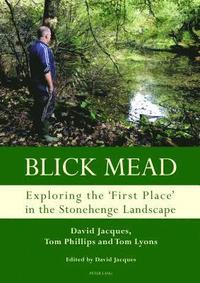 bokomslag Blick Mead: Exploring the 'first place' in the Stonehenge landscape