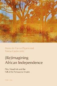 bokomslag (Re)imagining African Independence