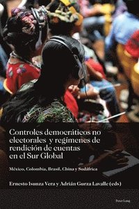 bokomslag Controles democrticos no electorales y regmenes de rendicin de cuentas en el Sur Global