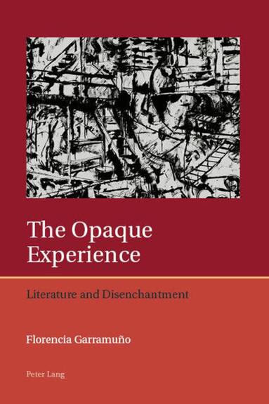 Florencia Garramuno - Opaque Experience, Häftad