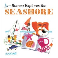 bokomslag Romeo Explores the Seashore