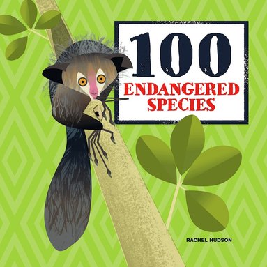 Rachel Hudson - 100 Endangered Species, Inbunden