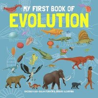 bokomslag My First Book of Evolution