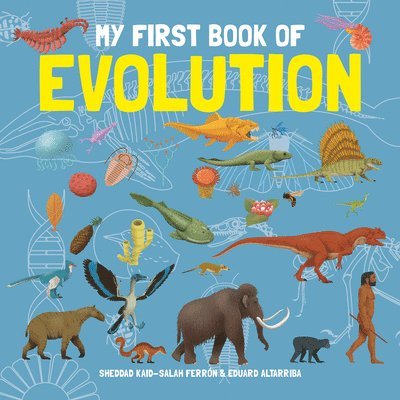 My First Book of Evolution 1