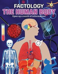 bokomslag Factology: The Human Body