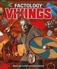 bokomslag Factology: Vikings