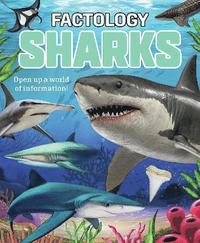 bokomslag Factology: Sharks