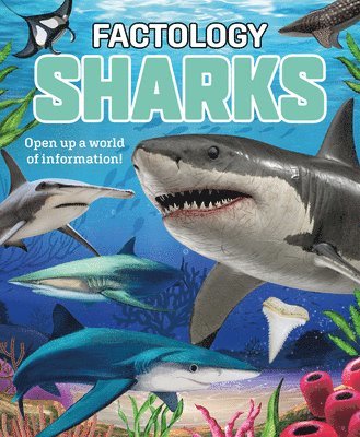 bokomslag Factology: Sharks