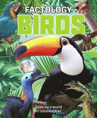 bokomslag Factology: Birds