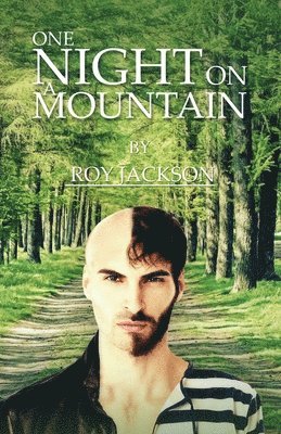 One Night On A Mountain