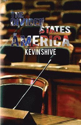 bokomslag The Divided States of America