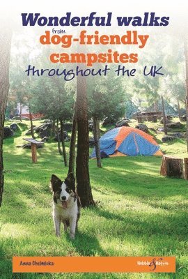 bokomslag Wonderful Walks from Dog-Friendly Campsites Throughout Great Britain