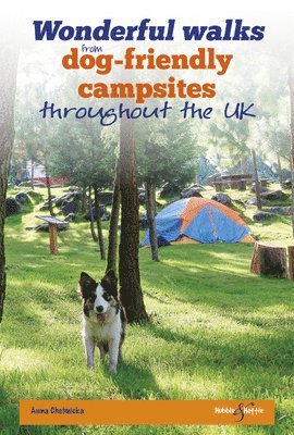 Wonderful Walks from Dog-Friendly Campsites Throughout Great Britain 1