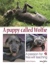 bokomslag A Puppy Called Wolfie