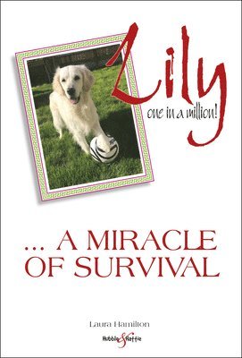 Laura Hamilton - Lily: One in a Million, Häftad