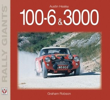 bokomslag Austin Healey 100-6 & 3000