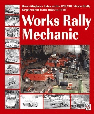 Works rally Mechanic 1