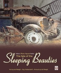 bokomslag The Fate of the Sleeping Beauties