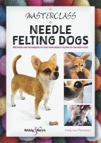 bokomslag A Masterclass in needle felting dogs