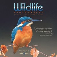 bokomslag Wildlife Photography