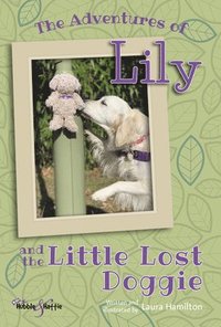 bokomslag The Adventures of Lily