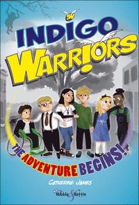 bokomslag Indigo Warriors