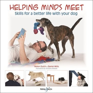 bokomslag Helping Minds Meet