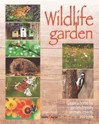 Wildlife Garden 1