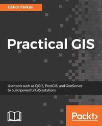 bokomslag Practical GIS