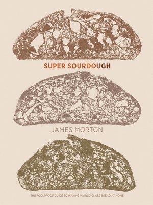 Super Sourdough 1