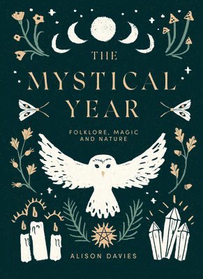 bokomslag Mystical Year