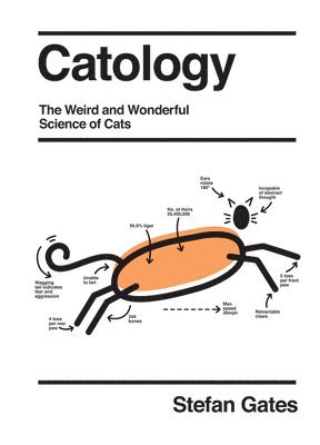 Catology 1