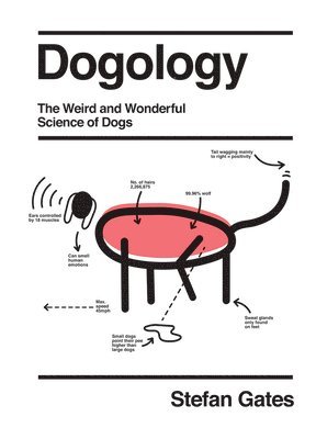 bokomslag Dogology
