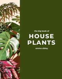 bokomslag The Big Book of House Plants
