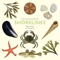 bokomslag Little Guide to Shorelines