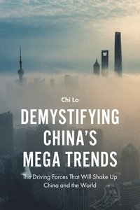 bokomslag Demystifying Chinas Mega Trends