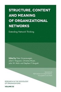 bokomslag Structure, Content and Meaning of Organizational Networks