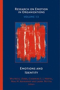 bokomslag Emotions and Identity