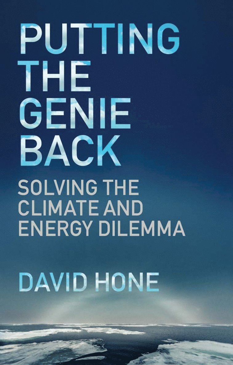 David Hone, UK) Hone, David (Shell International Ltd - Putting the Genie Back, Häftad