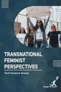 bokomslag Transnational Feminist Perspectives