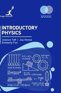 bokomslag Introductory Physics