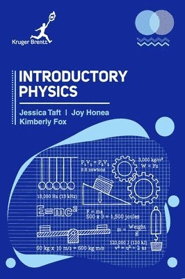 bokomslag Introductory Physics