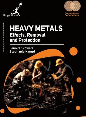 bokomslag Heavy Metals