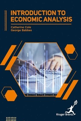 bokomslag Introduction To Economic Analysis