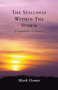 bokomslag The Stillness Within The Storm