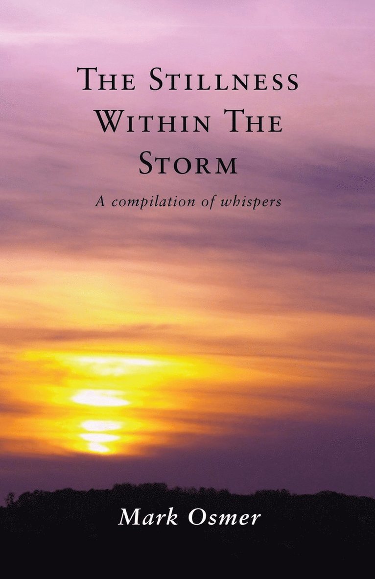 The Stillness Within The Storm 1