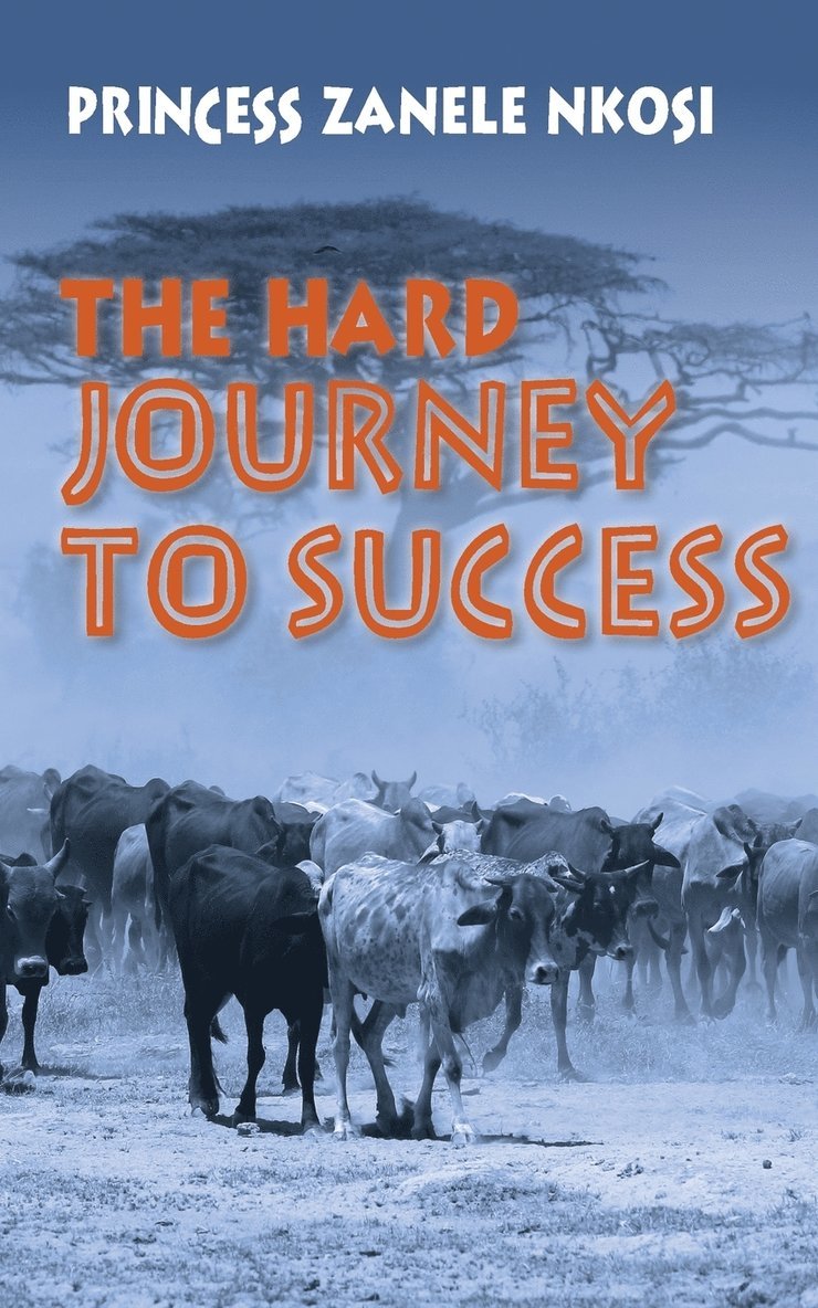 The Hard Journey to Success 1