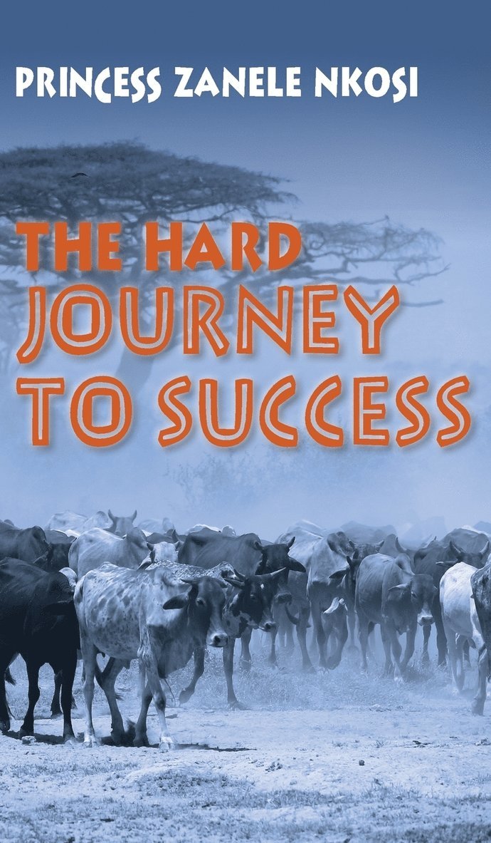 The Hard Journey to Success 1