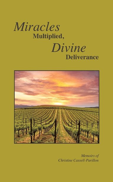 bokomslag Miracles Multiplied, Divine Deliverance